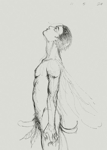 faerie wishing