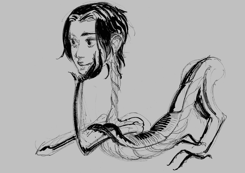 drawing of a bug body
